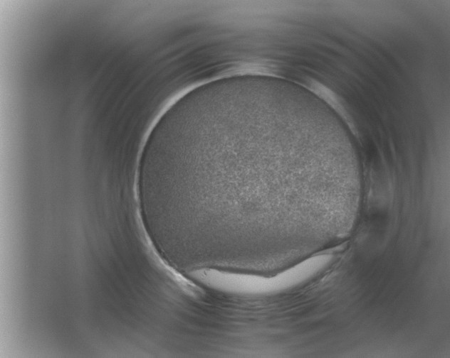 X0000063461339200602031824