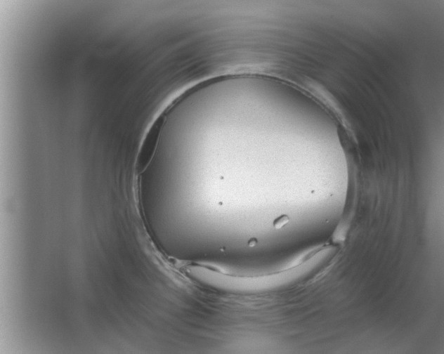 X0000063461340200602031824