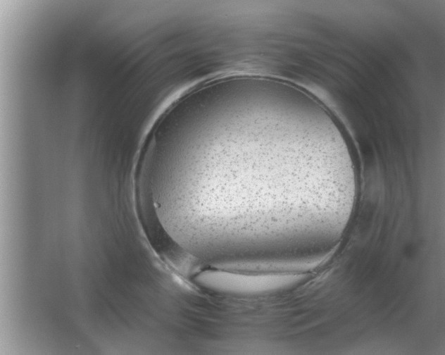 X0000063461341200602031824