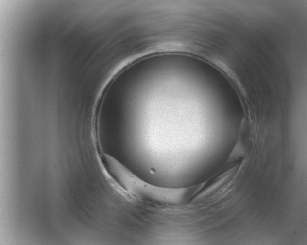 X0000063461342200602031824