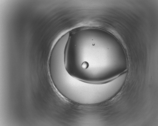 X0000063461344200602031824