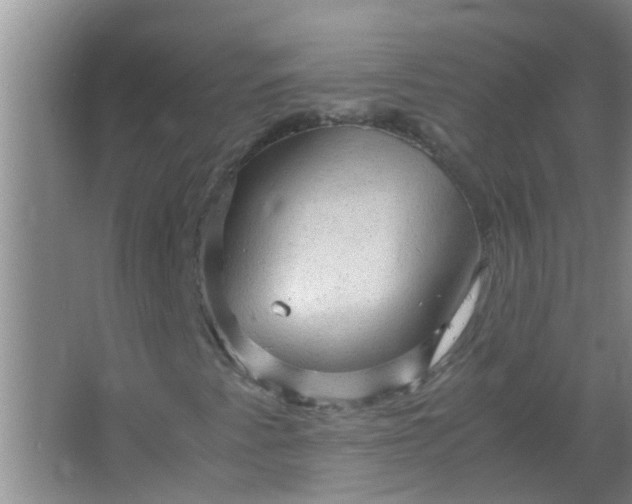 X0000063461345200602031823