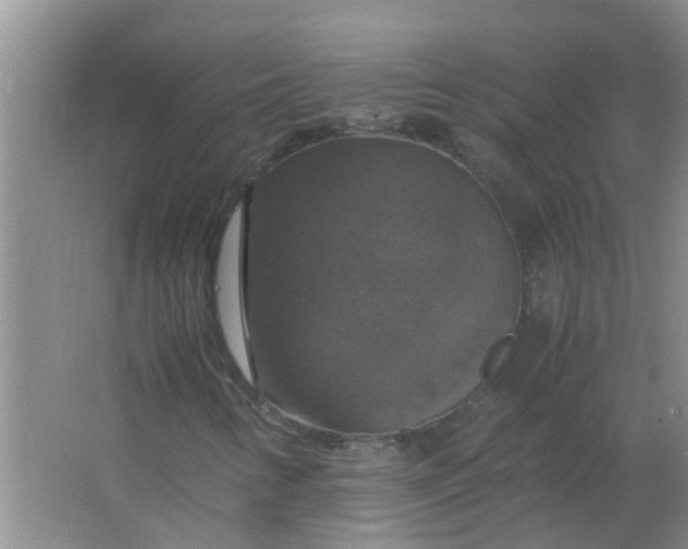 X0000063461346200602031823