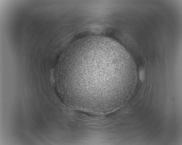 X0000063461347200602031823