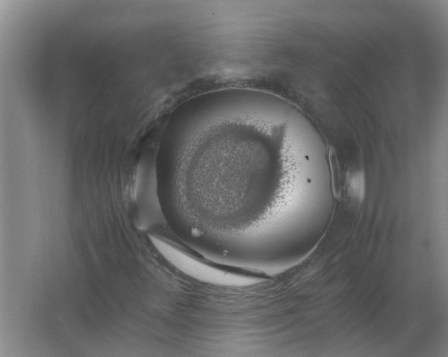 X0000063461348200602031823