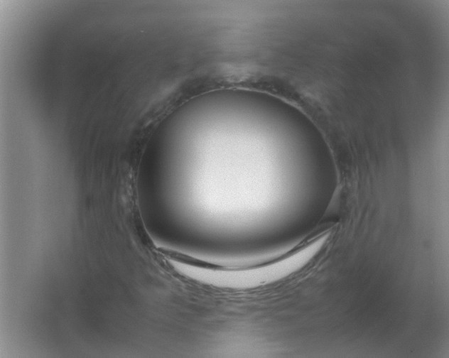 X0000063461349200602031823