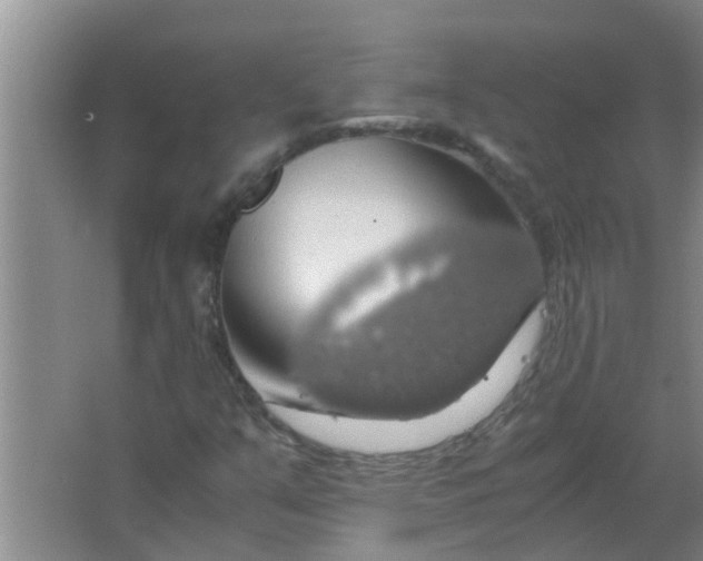 X0000063461351200602031823