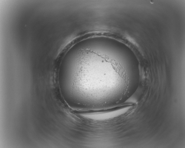 X0000063461352200602031823