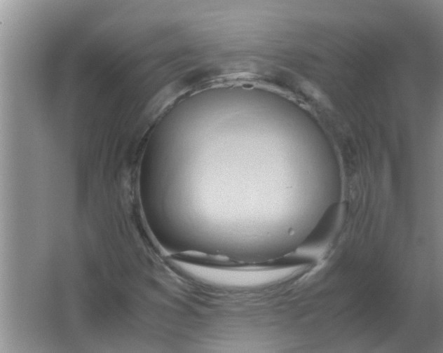 X0000063461353200602031823