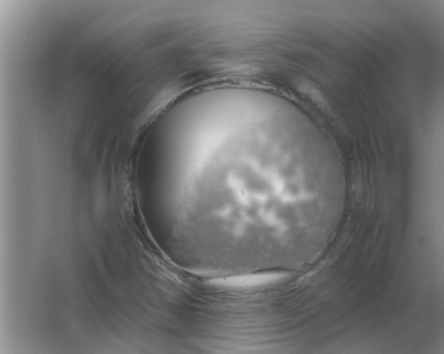 X0000063461354200602031823