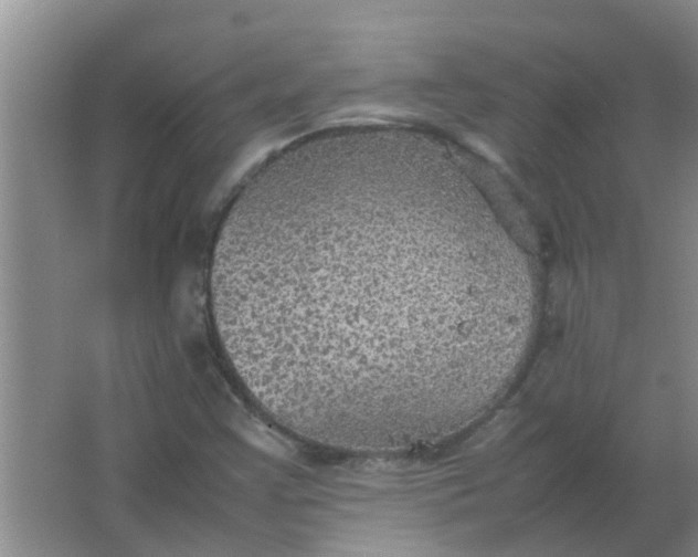 X0000063461355200602031823