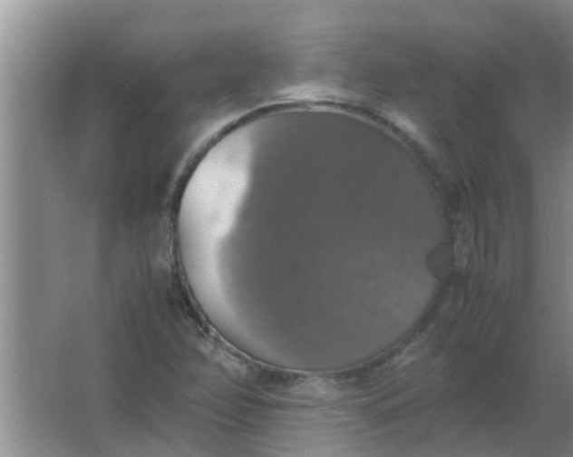 X0000063461358200602031823