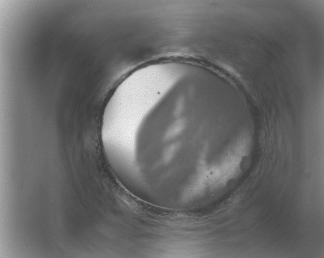 X0000063461359200602031823