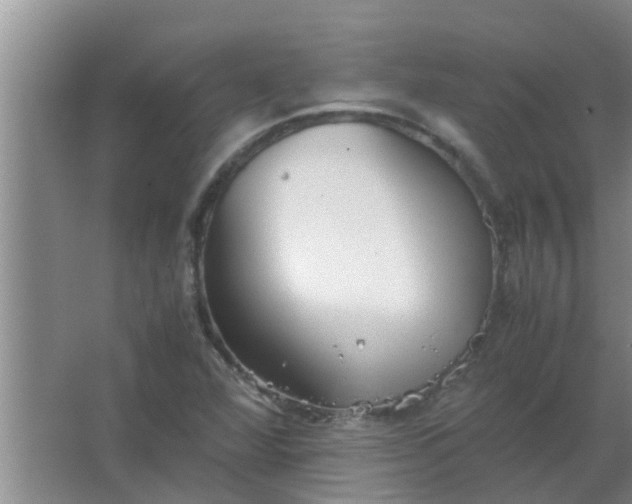 X0000063461360200602031823