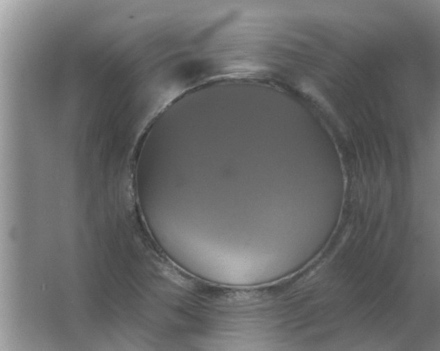 X0000063461362200602031823