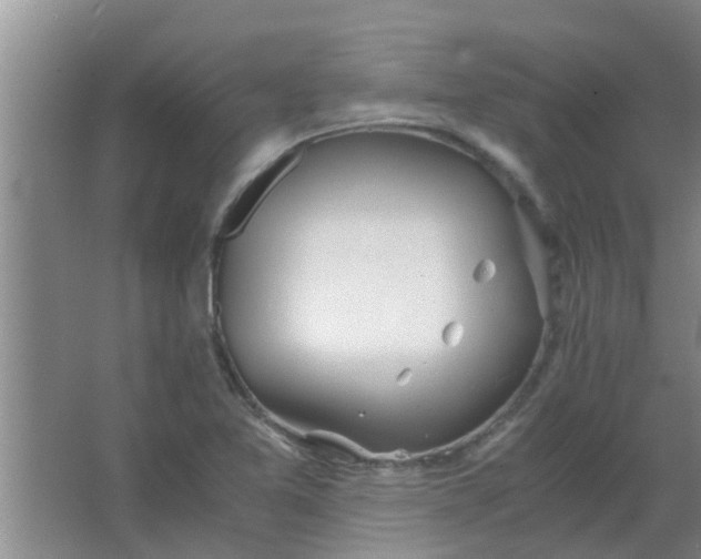 X0000063461365200602031823