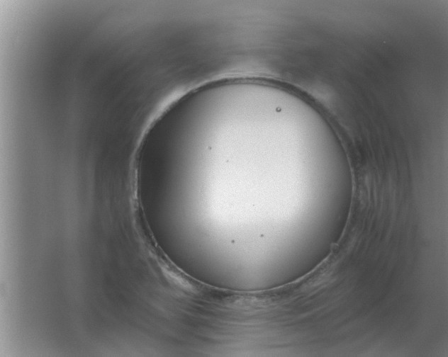 X0000063461366200602031823