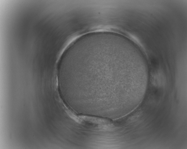 X0000063461368200602031823