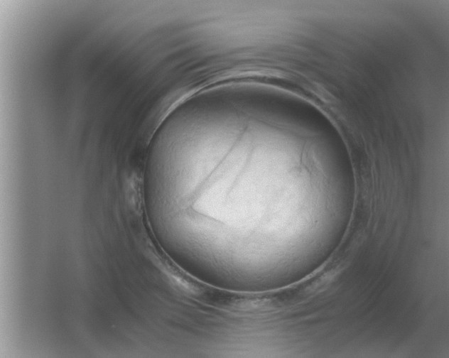 X0000063461369200602031823