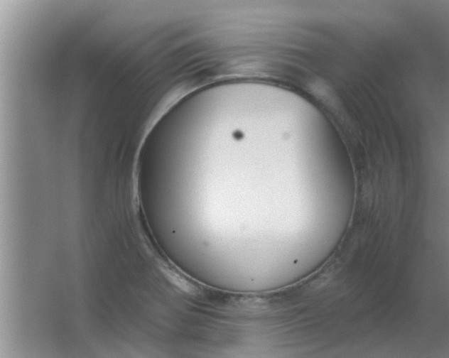 X0000063461370200602031823