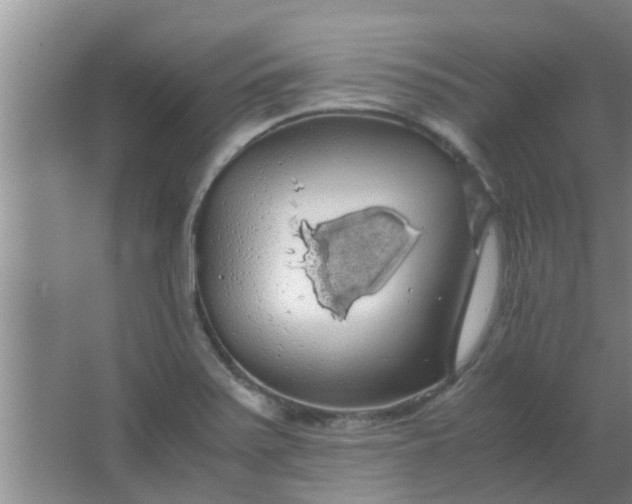 X0000063461371200602031823