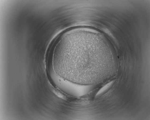 X0000063461372200602031823