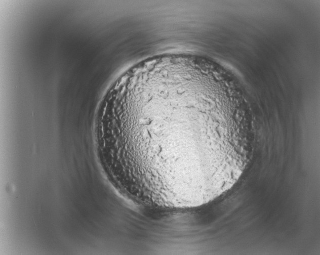 X0000063461375200602031823