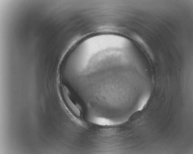 X0000063461376200602031823