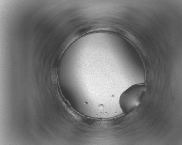 X0000063461377200602031823