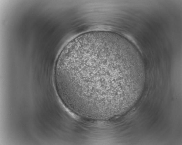 X0000063461379200602031822