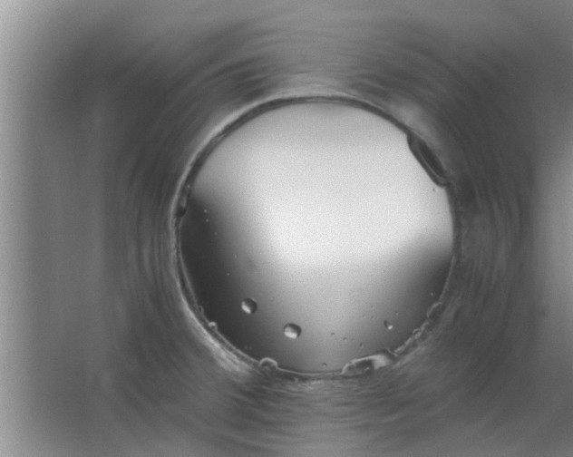 X0000063461380200602031822