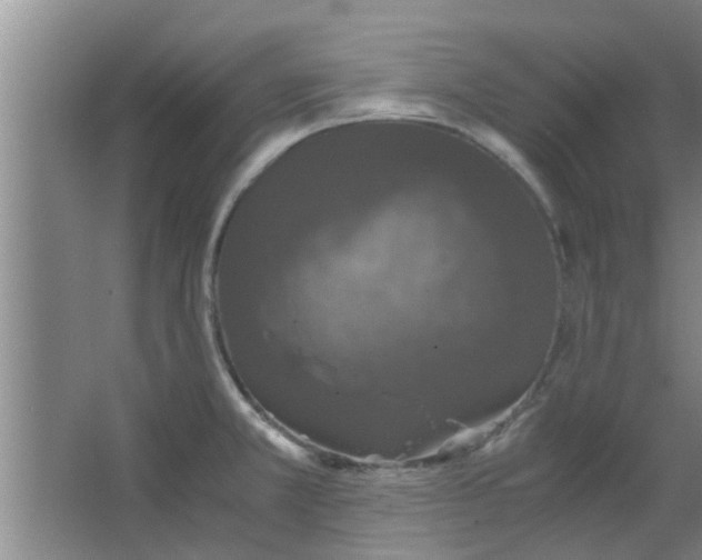 X0000063461381200602031822