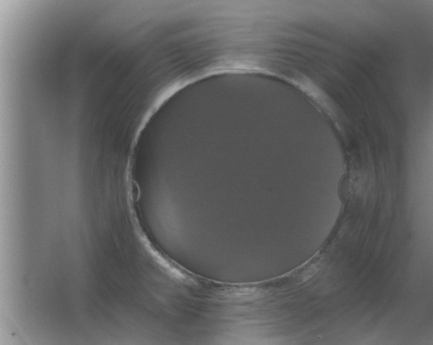 X0000063461382200602031822