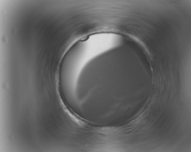 X0000063461383200602031822