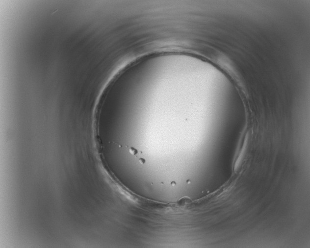 X0000063461384200602031822