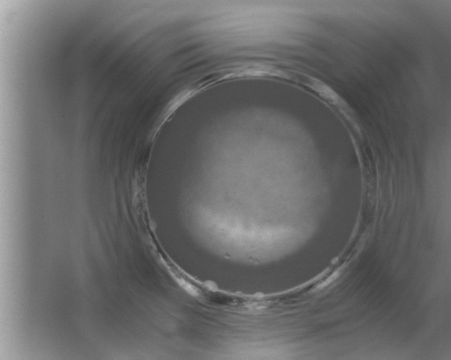 X0000063461385200602031822