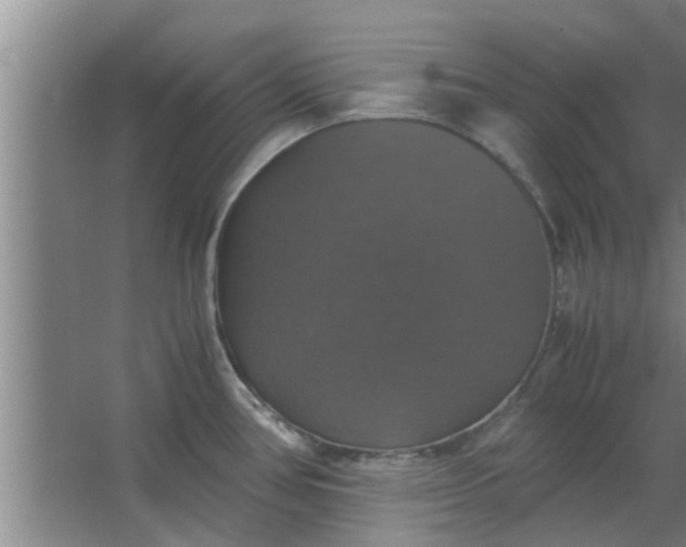 X0000063461386200602031822