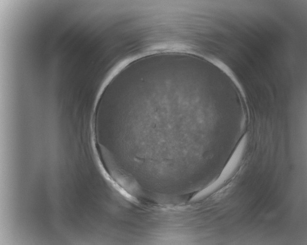 X0000063461389200602031822