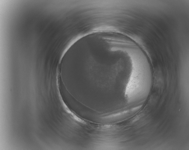 X0000063461390200602031822