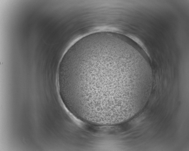 X0000063461391200602031822