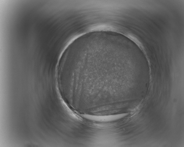 X0000063461392200602031822