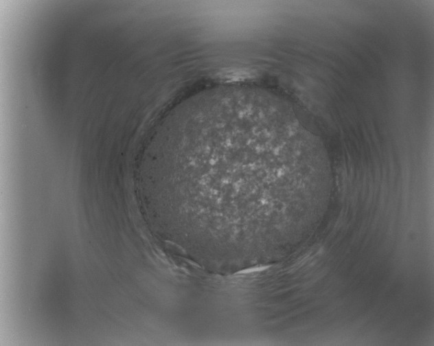 X0000063461393200602031821