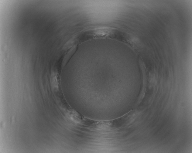 X0000063461394200602031821