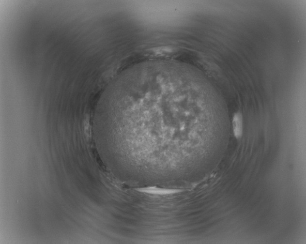 X0000063461395200602031821