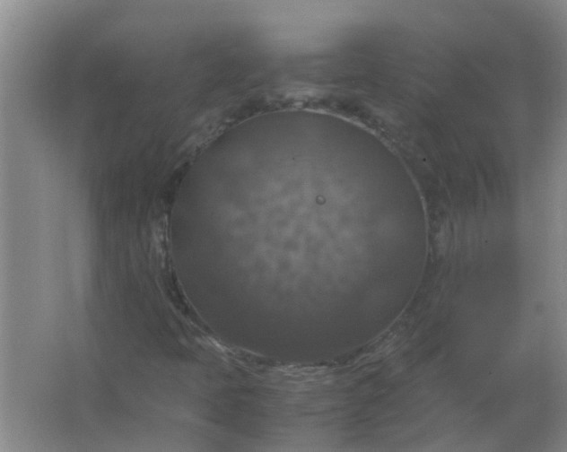 X0000063461397200602031822