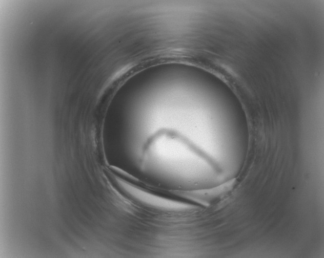 X0000063461402200602031822