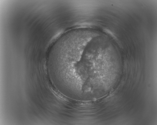 X0000063461403200602031822