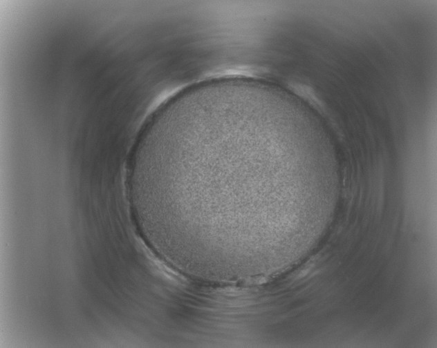 X0000063461404200602031822