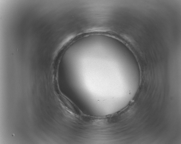 X0000063461406200602031822