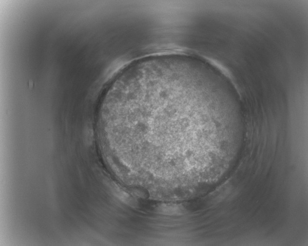 X0000063461407200602031822